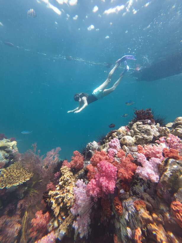 Koh Lipe: Half-Day Snorkeling (Morning/Afternoon/Sunset) - Afternoon route: the practical lazy-riser choice