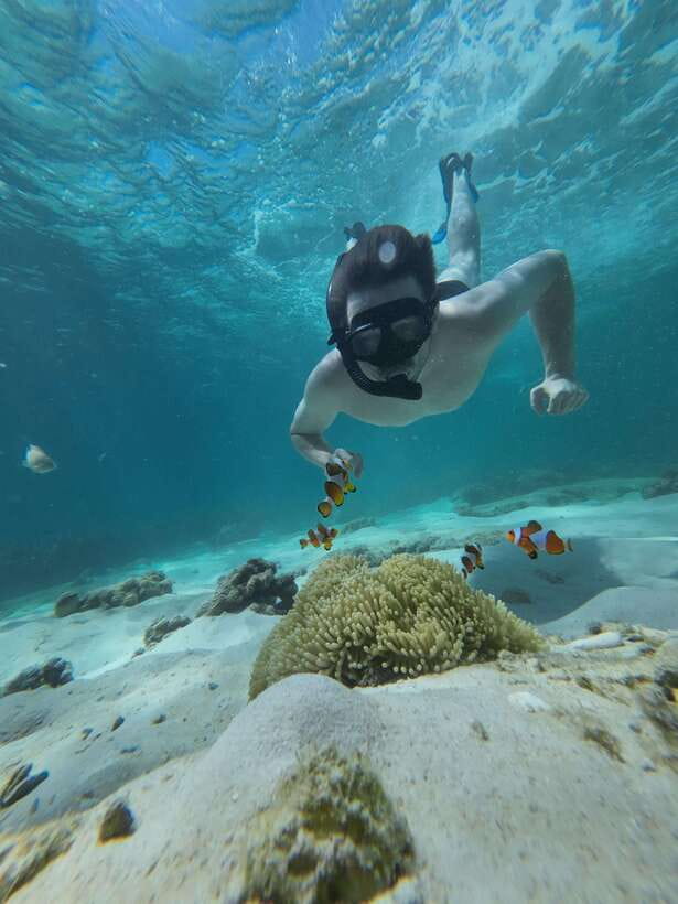 Koh Lipe: Half-Day Snorkeling (Morning/Afternoon/Sunset) - What the $16 price really covers