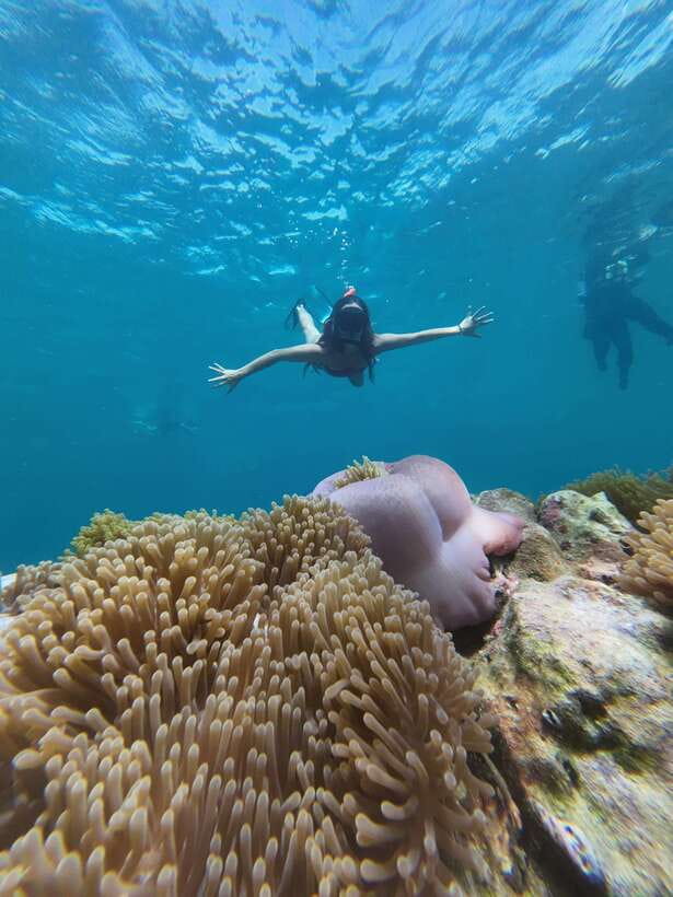 Koh Lipe: Half-Day Snorkeling (Morning/Afternoon/Sunset) - Who should choose this trip