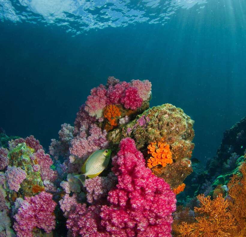 Koh Lipe: Island Hopping by Private Longtail Boat w/ Snorkel - Koh Hin Ngam’s black-stone shore