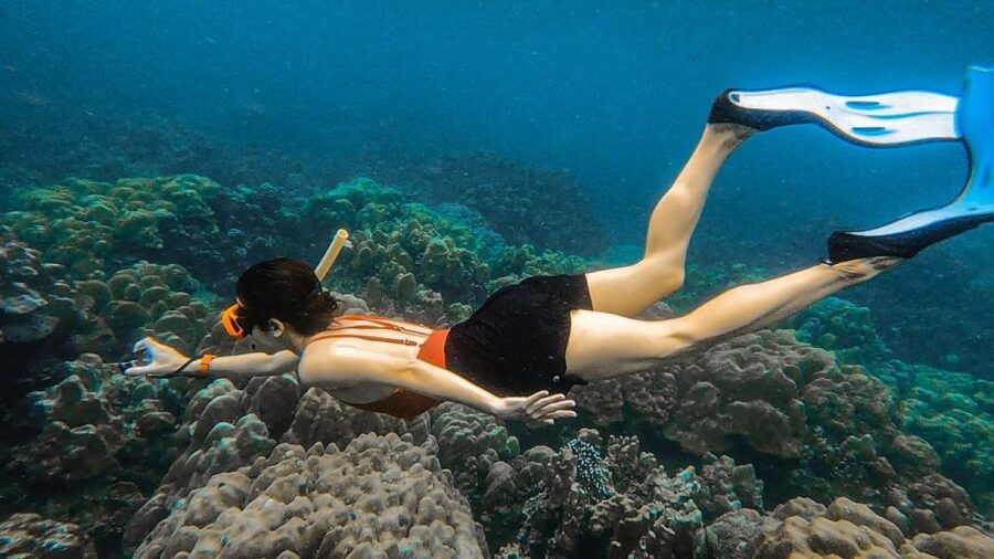 Koh Lipe: Longtail Boat Snorkeling Trip Program A - Key points at a glance