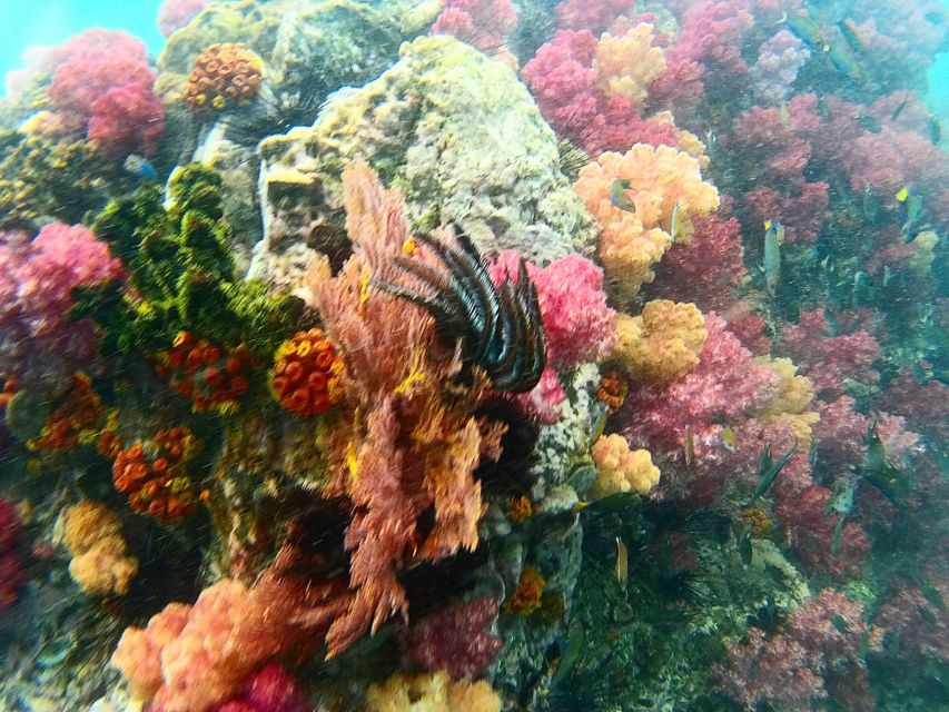 Koh Lipe Snorkeling Trip 6 hours Trip1 - The route suits variety more than nonstop snorkeling