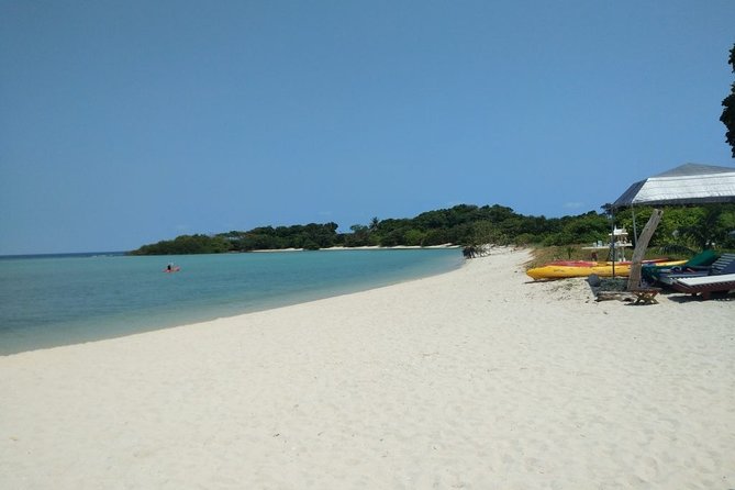 Koh Madsum and Koh Tan Snorkeling Trip By Speedboat From Koh Samui - The real value of the $50.15 price