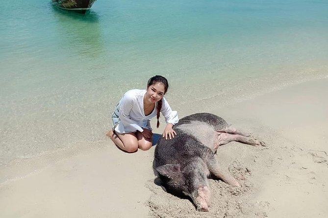 Koh Madsum and Koh Tan Snorkeling Trip By Speedboat From Koh Samui - Pickup, timing, and the risk of delays
