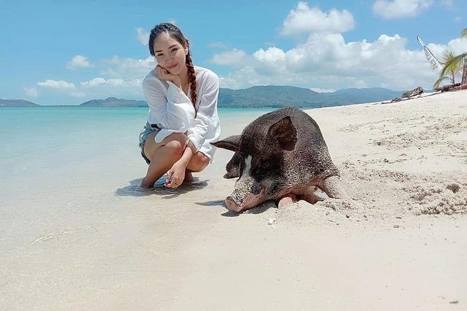Koh Madsum and Koh Tan Snorkeling Trip By Speedboat From Koh Samui - Who should book this Koh Samui excursion
