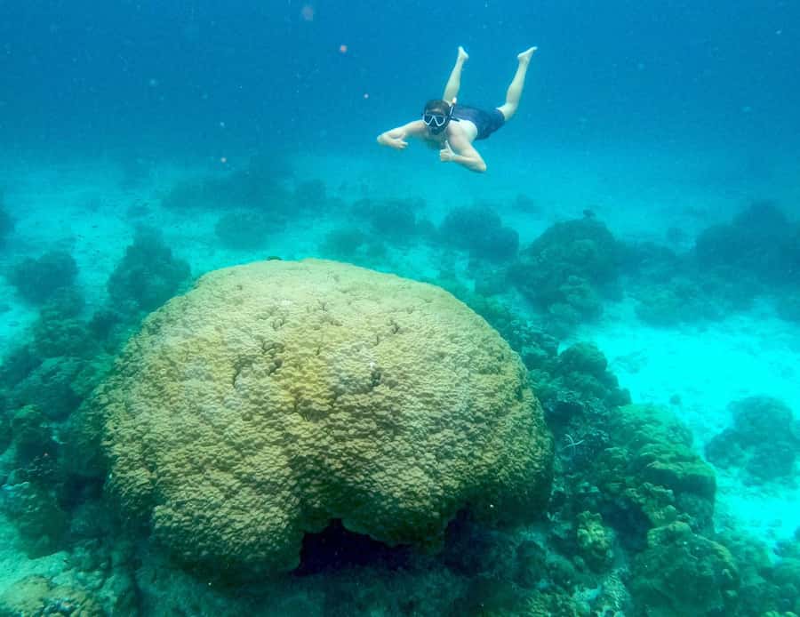 Koh Pha Ngan: Koh Tao & Nang Yuan Tour with Snorkel, Lunch - Is $82 a fair price?
