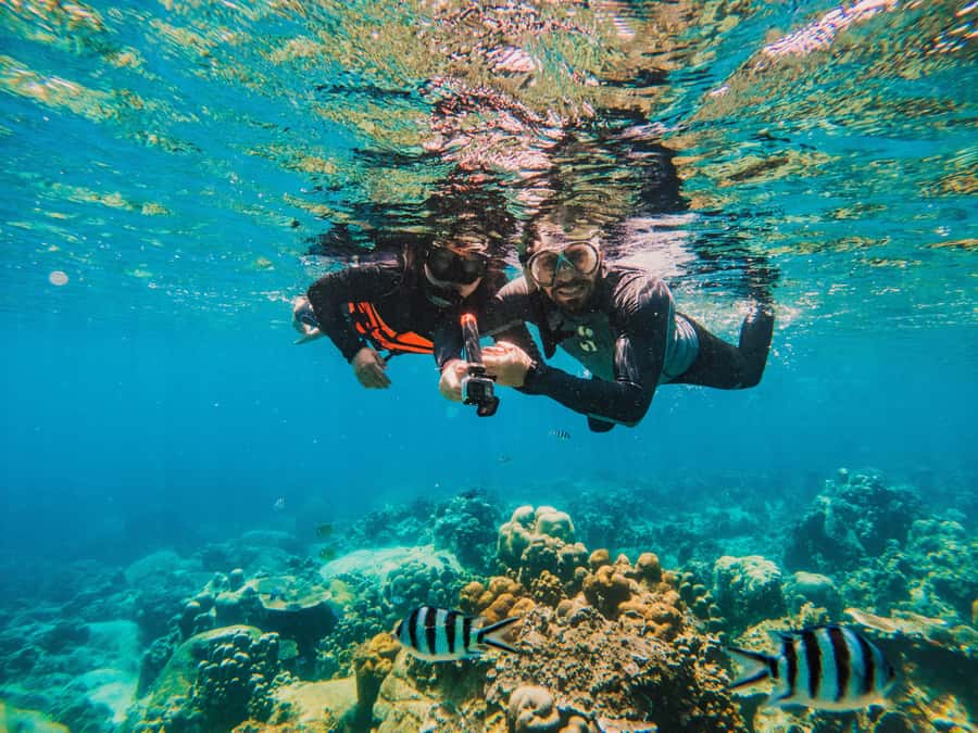Koh Samui: Koh Tao and Nangyuan Snorkeling Tour with Lunch - Snorkeling at Buddha Point and Koh Tao
