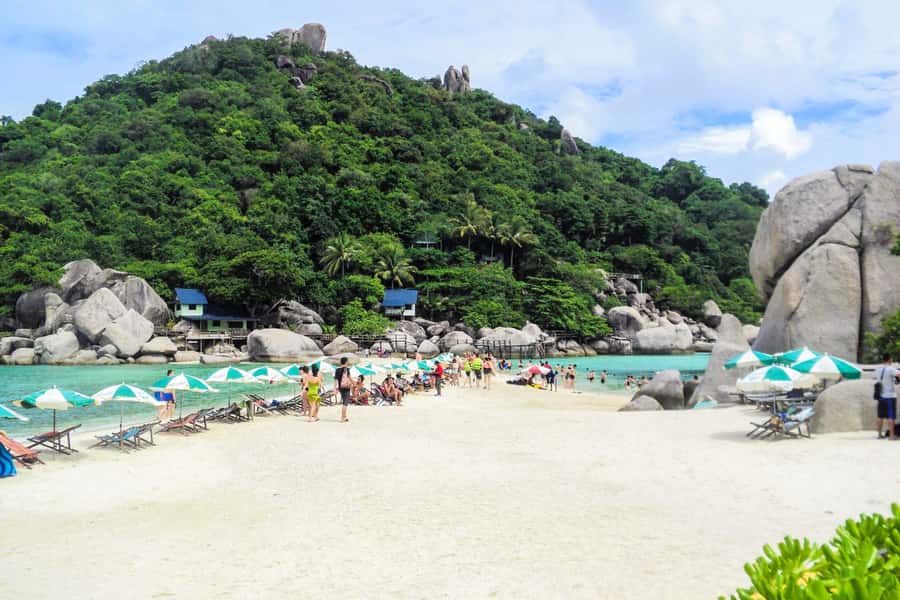 Koh Samui: Koh Tao and Nangyuan Snorkeling Tour with Lunch - Lunch on Koh Tao and the seasonal kayak session
