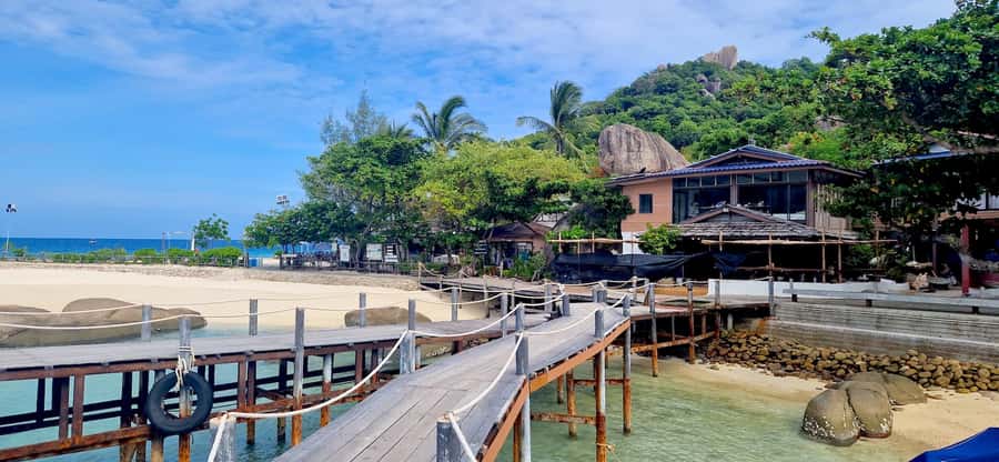 Koh Samui: Koh Tao & Nang Yuan Day Tour with Snorkel, Lunch - Who should book this day tour?