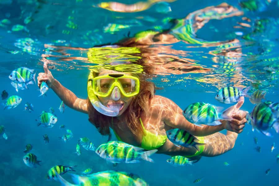Koh Samui: Koh Tao & Nang Yuan Day Tour with Snorkel, Lunch - The speedboat crossing from Koh Samui