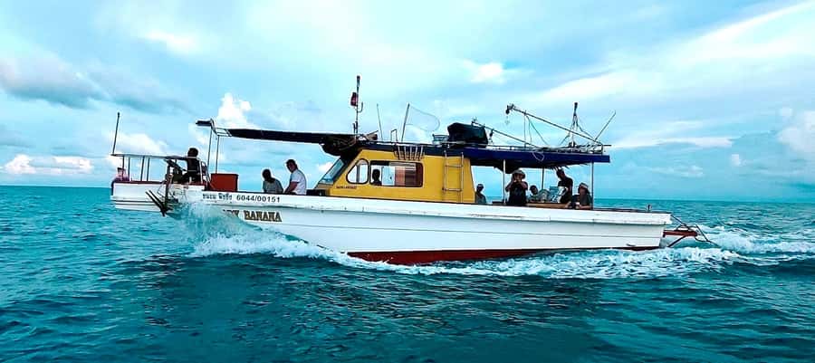 Koh Samui: Mr.Ung's Private Fishing/Boat Trip/Snorkeling/BBQ - Who will enjoy this boat trip most