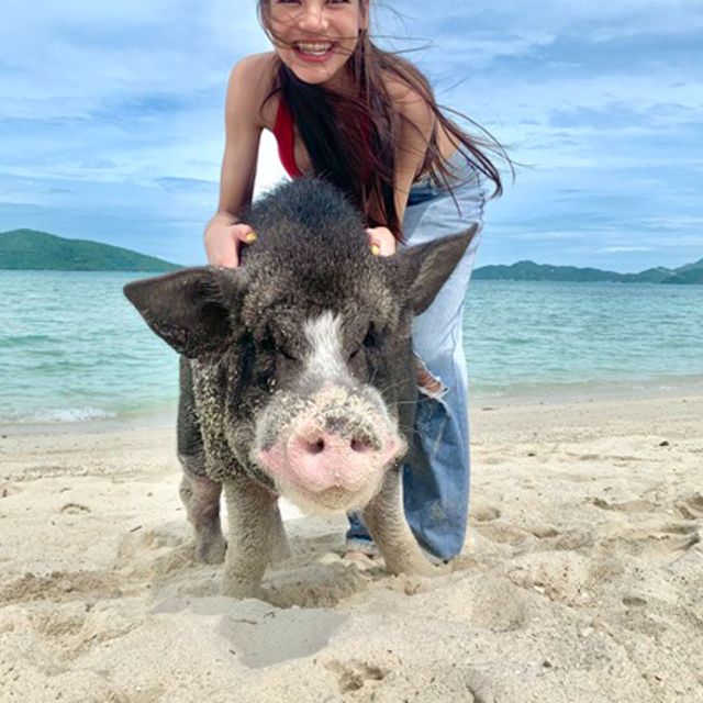 Koh Samui: Pig Island & Koh Tan Snorkeling by Speed boat - Should you book this Koh Samui island tour?