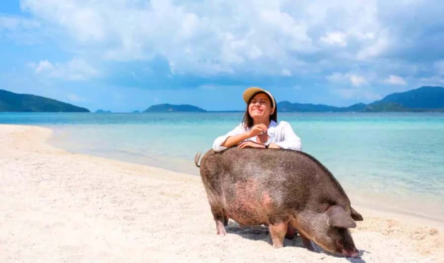 Koh Samui: Pink Dolphin, Pig Island, and Snorkeling Day Trip - The speedboat ride and first views of the Gulf