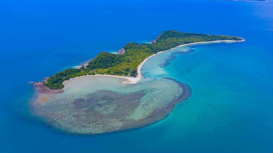 Koh Samui: Private Longtail Boat to Pig Island with Snorkel - Two and a half hours with the pigs on Koh Madsum