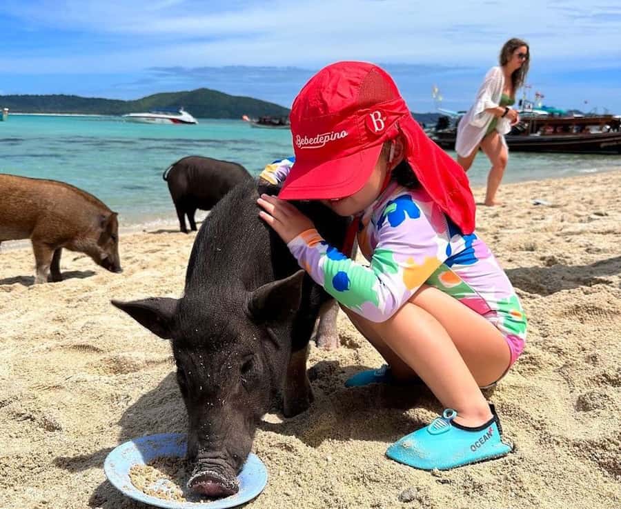 Koh Samui: Private Longtail Boat to Pig Island with Snorkel - What the captain can and cannot provide