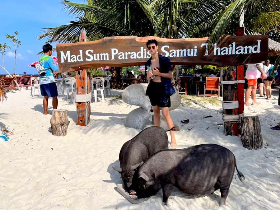 Koh Samui: Private Longtail Boat to Pig Island with Snorkel - Food, fees, and what to carry