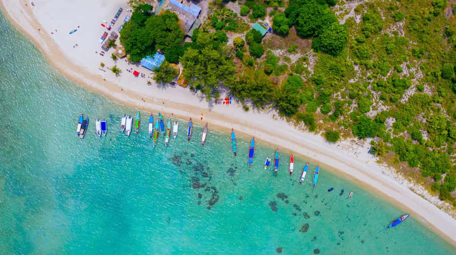 Koh Samui: Private Longtail Boat to Pig Island with Snorkel - Who should choose this trip