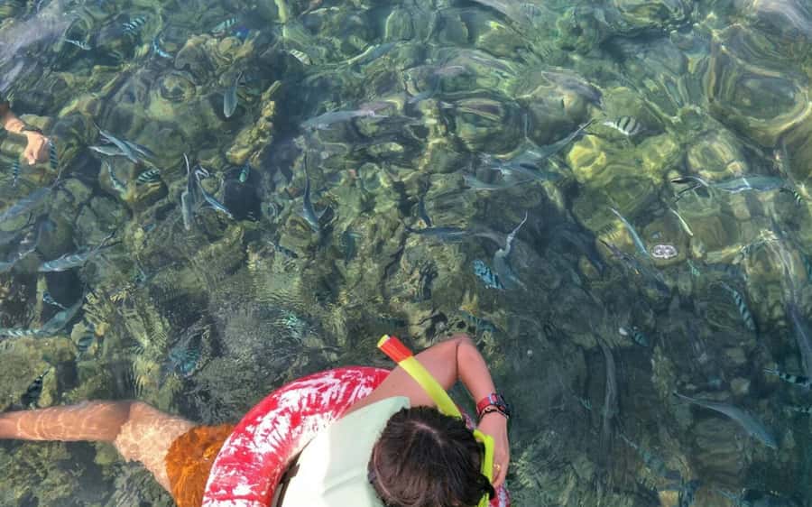 Koh Samui: Snorkeling and Kayaking by Speedboat - Koh Madsum, beach time, and the famous pigs