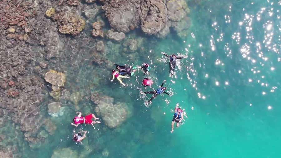 Koh Samui: Sunset Pig Island and Snorkeling Koh Tan w/Dinner - Meeting the pigs on Koh Madsum