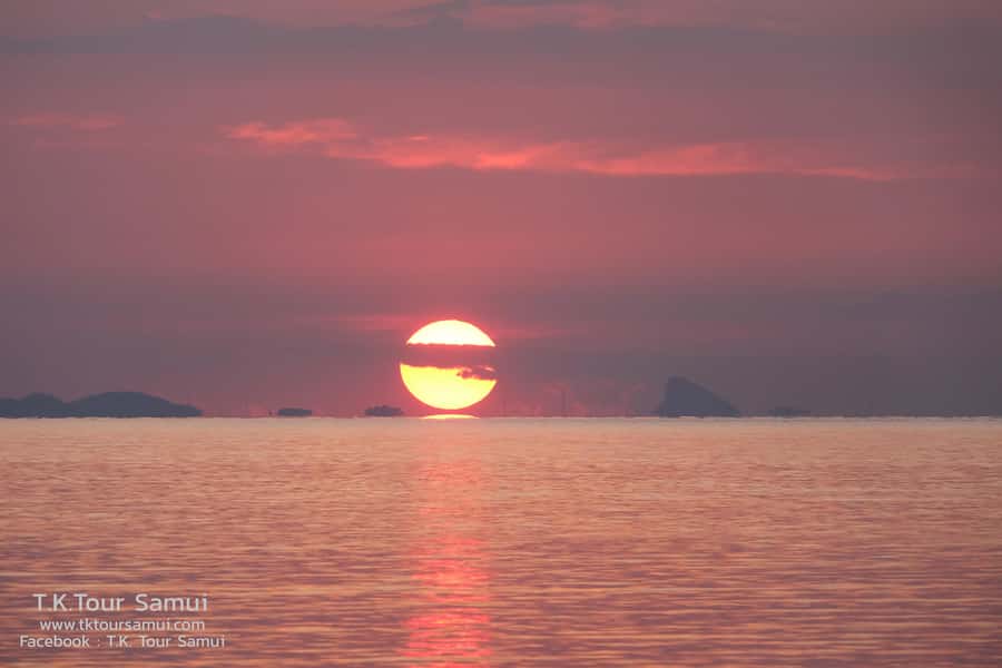 Koh Samui: Sunset Pig Island and Snorkeling Koh Tan w/Dinner - Who will enjoy this afternoon most