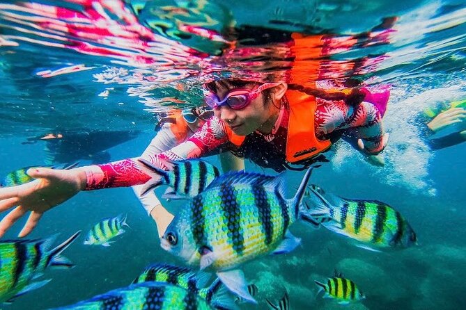Koh Tao and Koh Nang Yuan Snorkel Tour (Speedboat from Koh Samui) - Morning pickup and the ride from Koh Samui