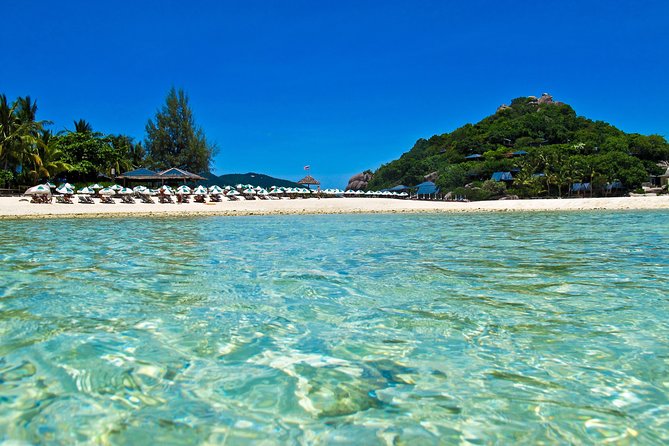 Koh Tao and Koh Nang Yuan Snorkel Tour (Speedboat from Koh Samui) - Guides, equipment, and the group experience
