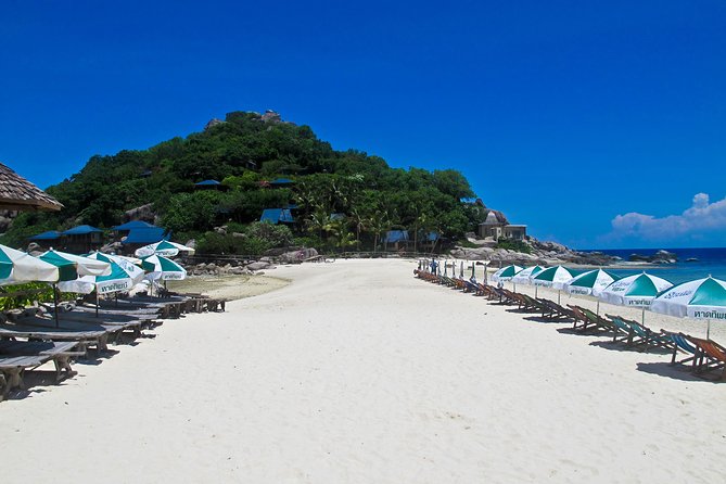 Koh Tao and Koh Nang Yuan Snorkel Tour (Speedboat from Koh Samui) - Who should book this day trip?