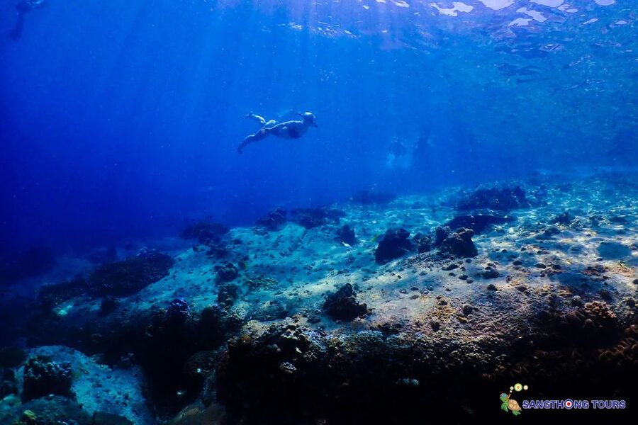 Koh Tao: Islands Snorkeling Highlights Day Tour & Lunch - Koh Tao Snorkeling Highlights at a Glance