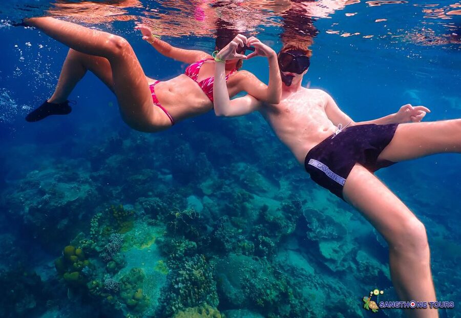 Koh Tao: Islands Snorkeling Highlights Day Tour & Lunch - Shark Bay: Turtles, Reef Sharks, and Responsible Wildlife Watching