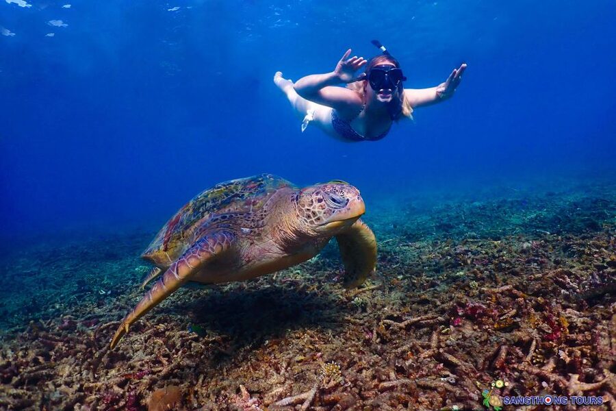 Koh Tao: Islands Snorkeling Highlights Day Tour & Lunch - Is $27 a Good Deal?