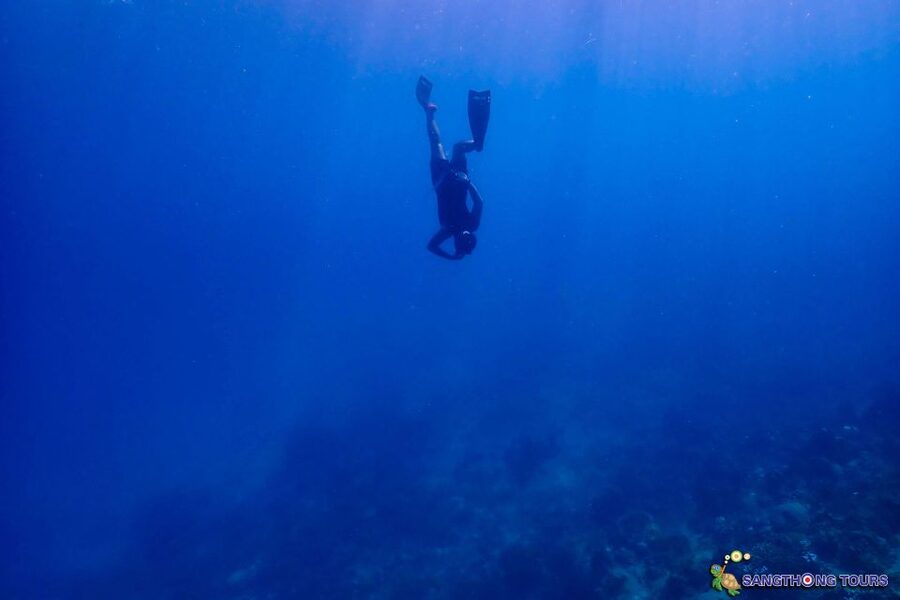 Koh Tao: Islands Snorkeling Highlights Day Tour & Lunch - Koh Nangyuan: Viewpoint, Sandbar, and Japanese Reef Garden