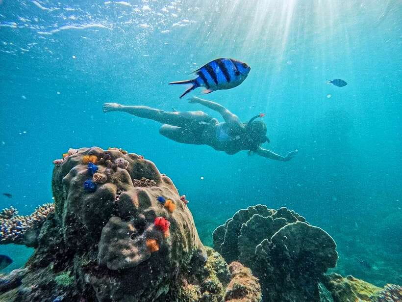 Koh Tao: Koh Nangyuan & Hidden Bays Snorkeling Tour w/ Lunch - Why this Koh Tao snorkeling day earns its place