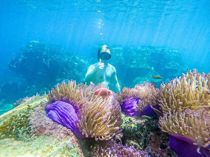 Koh Tao: Koh Nangyuan & Hidden Bays Snorkeling Tour w/ Lunch - Mango Bay and the first proper swim