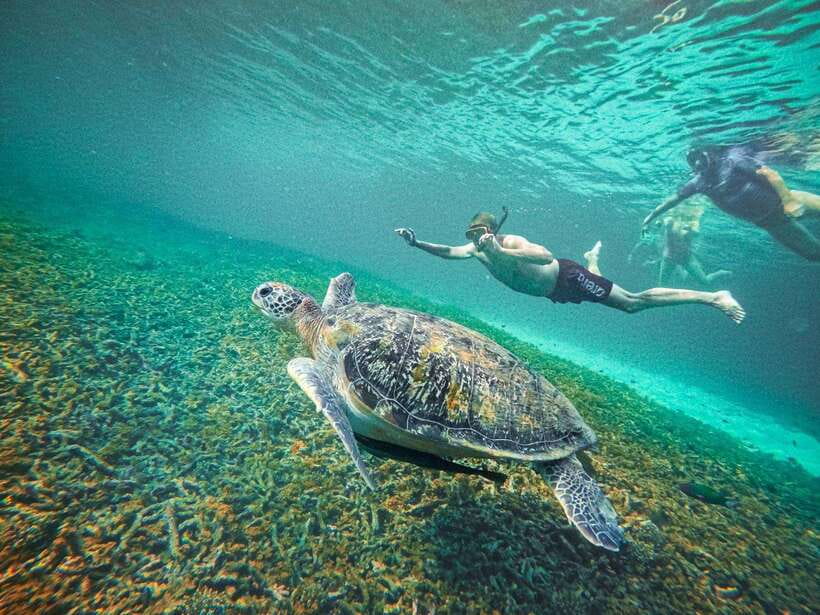 Koh Tao: Koh Nangyuan & Hidden Bays Snorkeling Tour w/ Lunch - Shark Bay and the search for turtles
