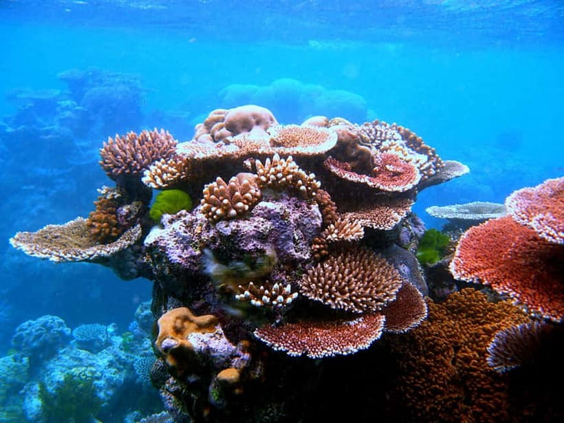 Koh Tao: Snorkeling and Sunset Tour - Is $23 good value?