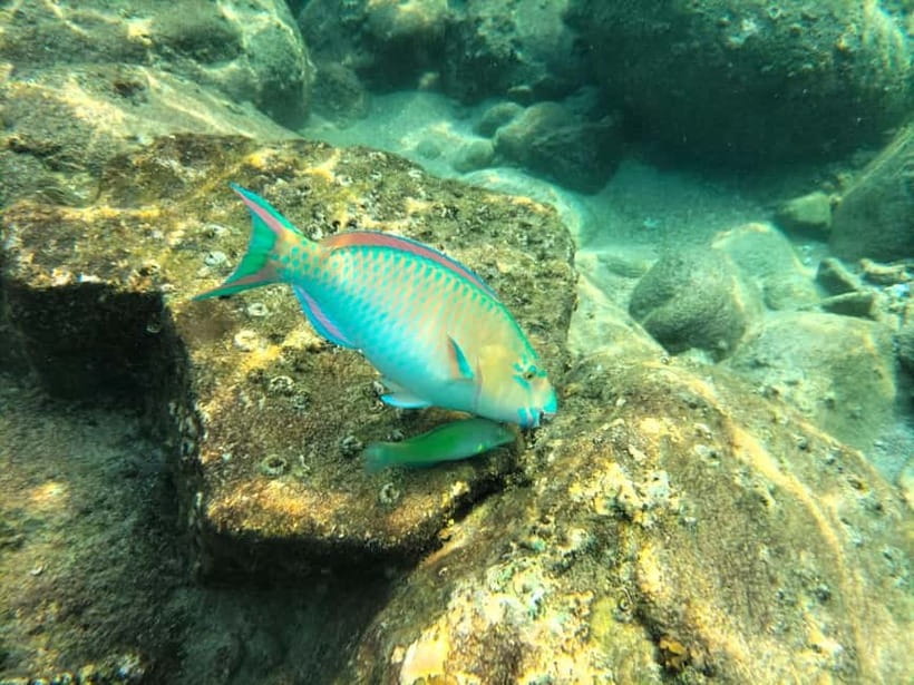 Koh Tao: Snorkeling and Sunset Tour - Booking details worth knowing