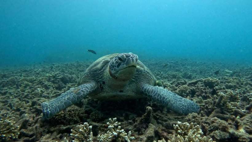 Koh Tao: Snorkeling and Sunset Tour - Meeting at Koh Tao and getting on the boat