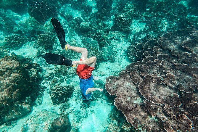 Koh Tao VIP Snorkelling Tour - Why Koh Tao is worth the long boat ride