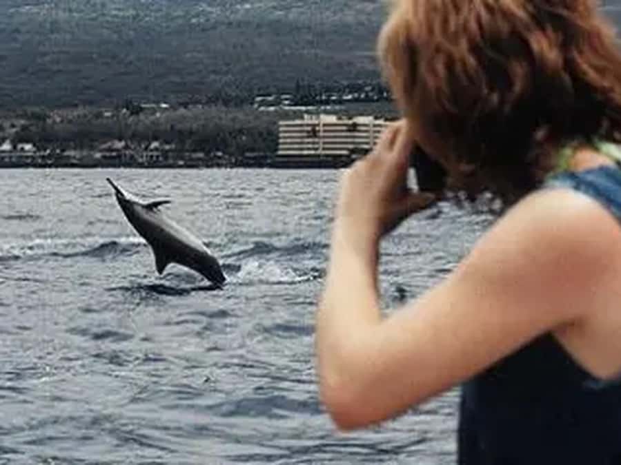 Kona: Captain Cook Snorkel Tour - Who should book, and who should skip it?