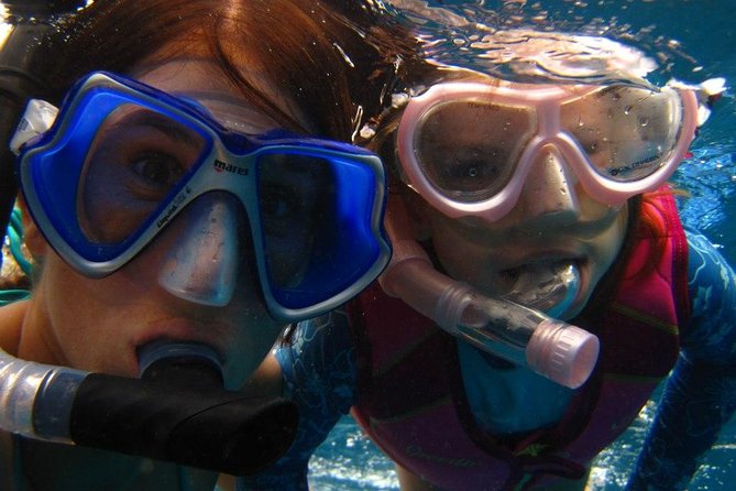 Kona Luxury Catamaran Yacht Snorkel & Sail - Is $449 a fair price?