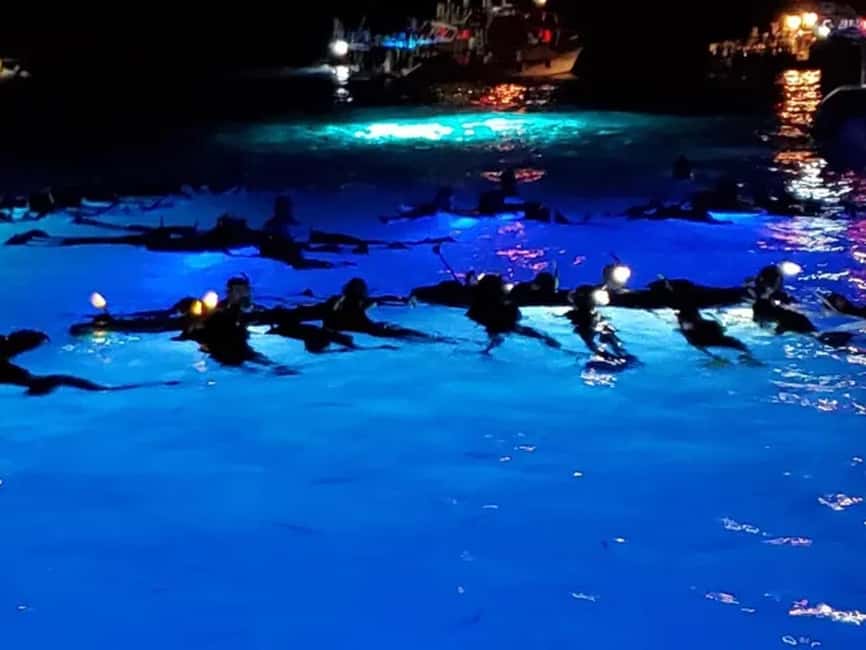 Kona: Manta Ray Night Snorkel Adventure - A 15-minute boat ride into the feeding area