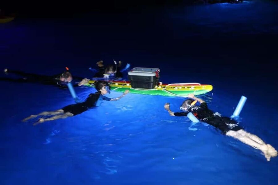 Kona: Manta Ray Snorkel Tour, Guaranteed or Come Again Free - What the 80-minute outing feels like