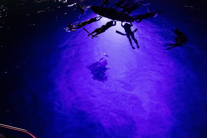 Kona Night Manta Snorkel Tour - Starting at 247 Kealakehe Parkway in Kona