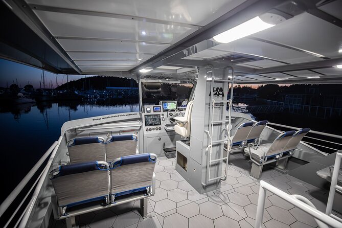 Kona Night Manta Snorkel Tour - Who should book this night snorkel?