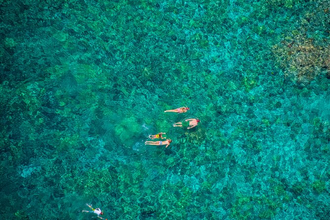 Kona’s Best Morning Snorkel: Captain Cook & Kealakekua Bay - Wildlife: rewarding, but never promised