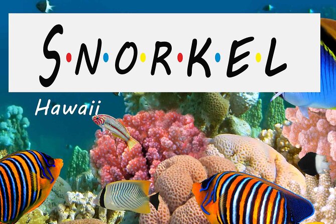 Kona Shore Excursion: Wild Dolphin Reefs Snorkel and Sea Caves - Leaving Kailua Pier for Kealakekua Bay