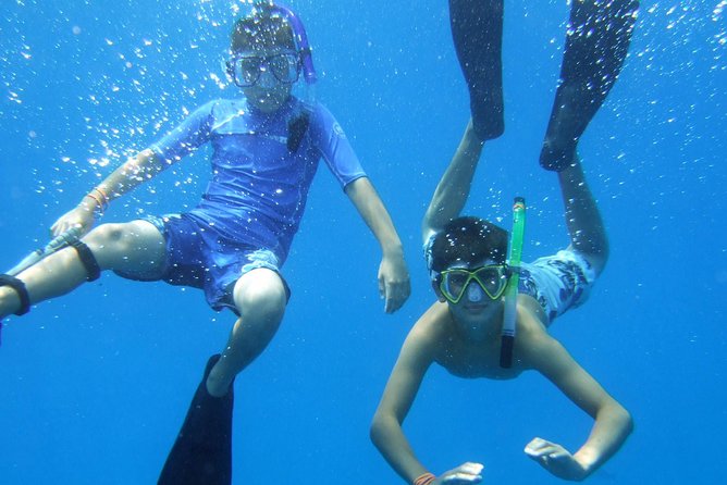Kona Shore Excursion: Wild Dolphin Reefs Snorkel and Sea Caves - Equipment, safety, and comfort in the water
