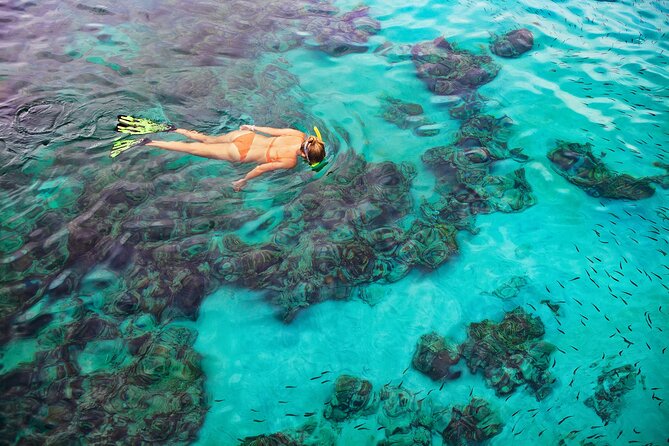 Kona Snorkel Tour: Captain Cook Reef Snorkel, Dolphin & Sea Caves - What to expect from the snorkeling gear