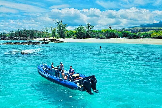 Kona Snorkel Tour: Captain Cook Reef Snorkel, Dolphin & Sea Caves - Dolphins and whales are not the main product