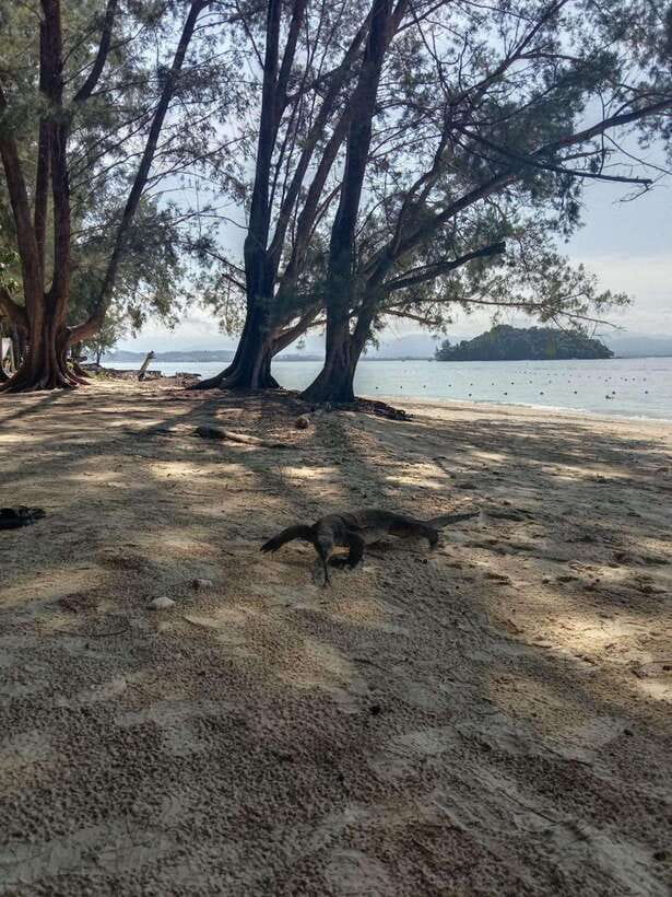 Kota Kinabalu: Manukan & Sapi Islands Snorkeling with Lunch - Three hours at Manukan Island